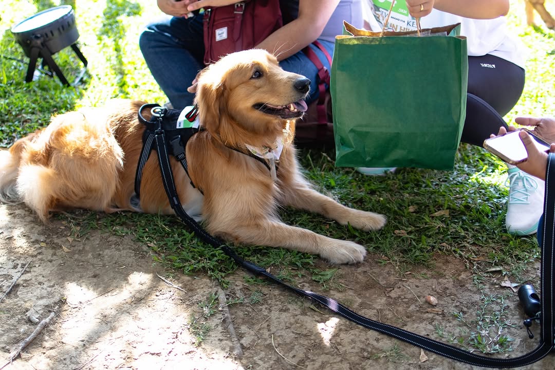 Participants at the Furry Fun Hike start area