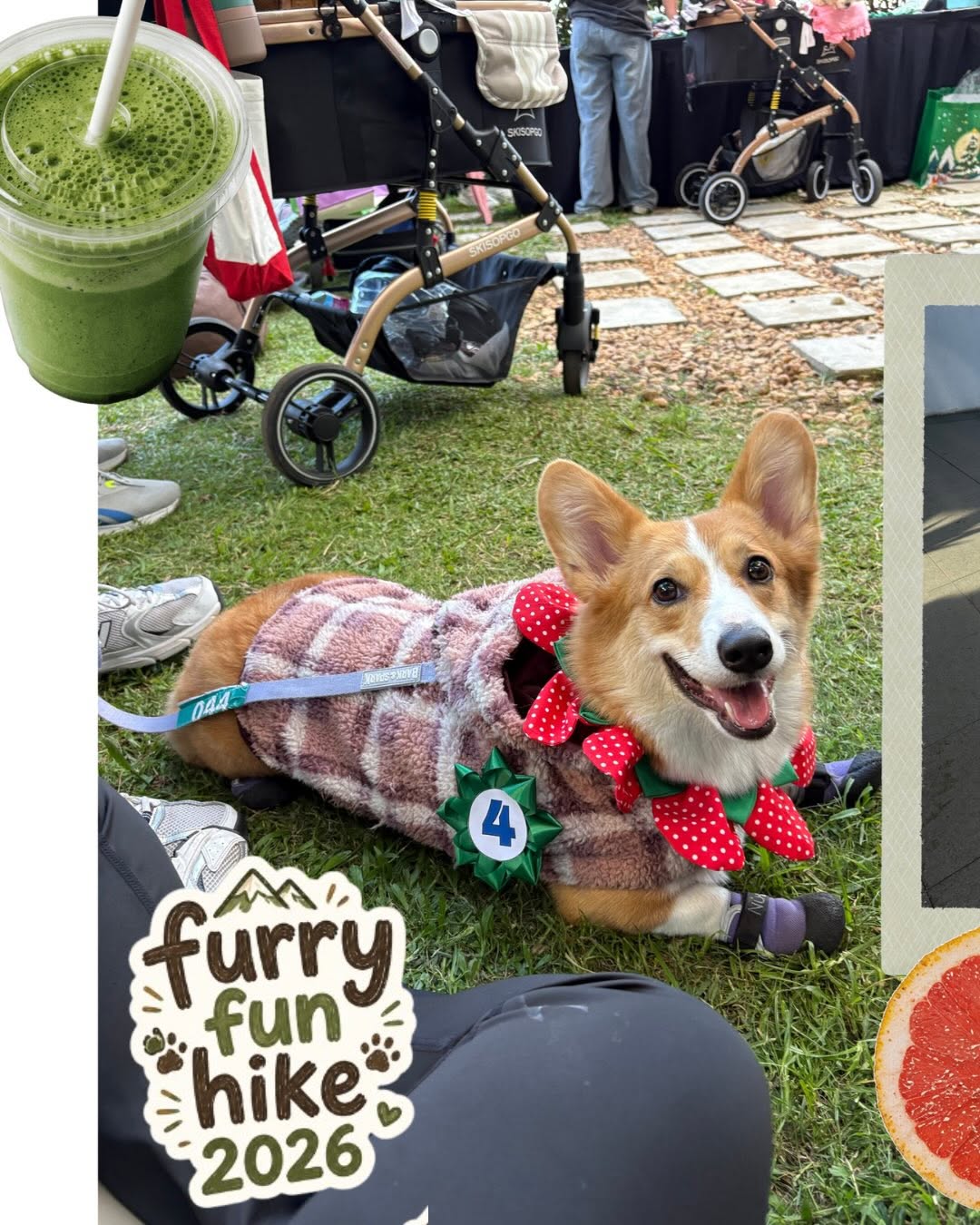 Preparing for the Furry Fun Hike event