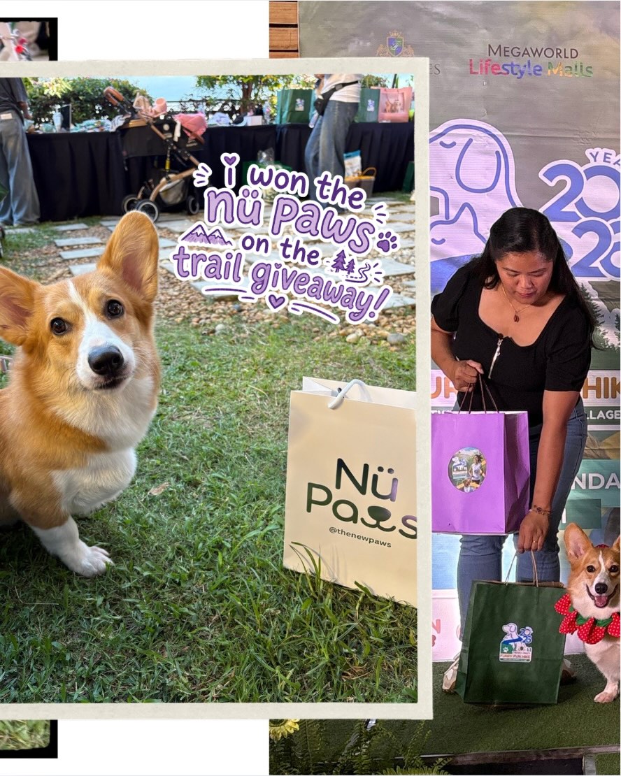 Cute pet enjoying a YGTN community event day